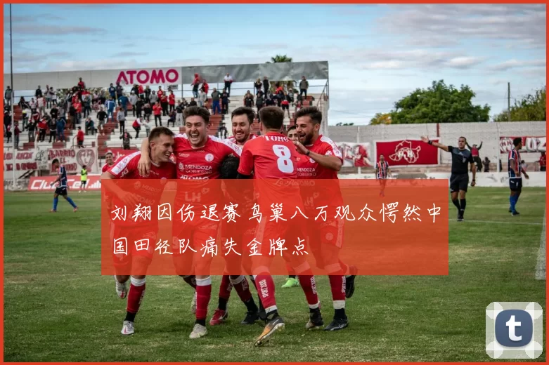 刘翔因伤退赛鸟巢八万观众愕然中国田径队痛失金牌点
