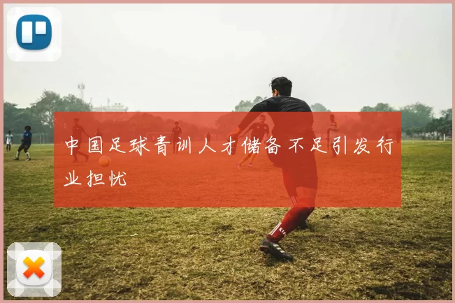中国足球青训人才储备不足引发行业担忧