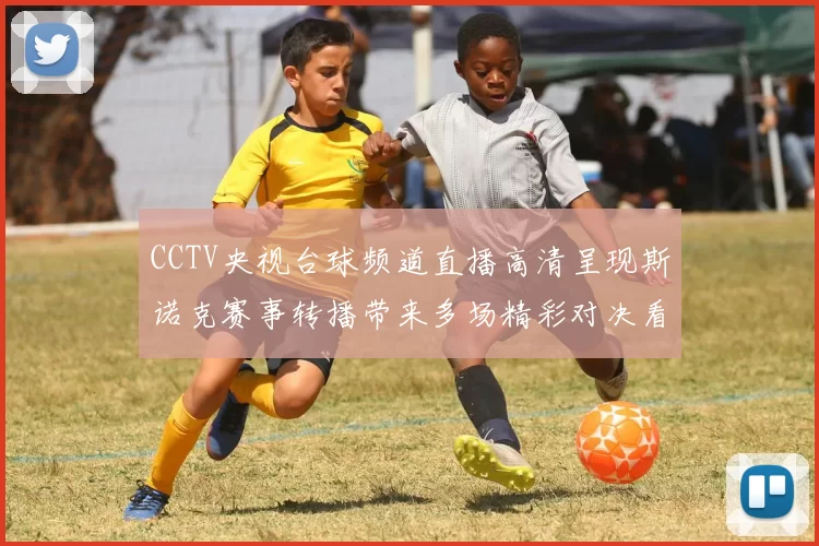 CCTV央视台球频道直播高清呈现斯诺克赛事转播带来多场精彩对决看点