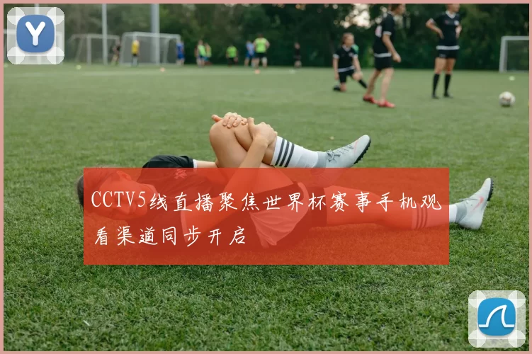CCTV5线直播聚焦世界杯赛事手机观看渠道同步开启