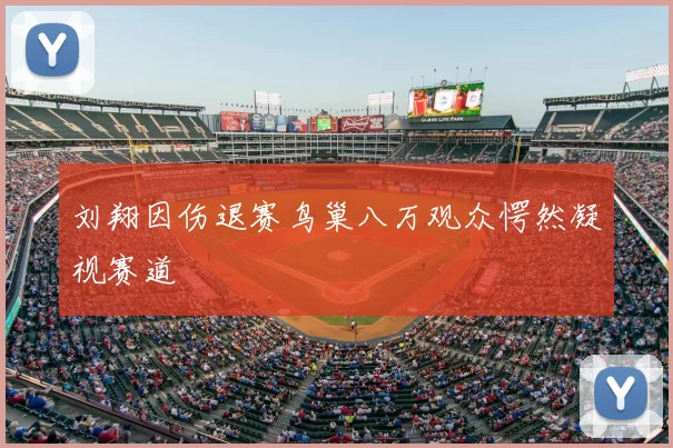 刘翔因伤退赛鸟巢八万观众愕然凝视赛道