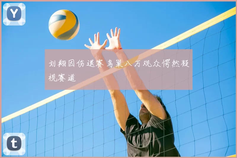 刘翔因伤退赛鸟巢八万观众愕然凝视赛道